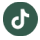 cicrle-tiktok-logo 80x80 2.png